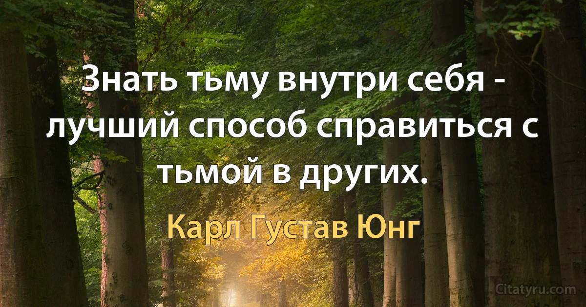 Знать тьму внутри себя - лучший способ справиться с тьмой в других. (Карл Густав Юнг)