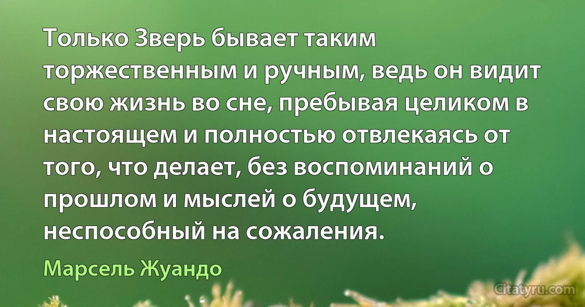 Только Зверь бывает таким торжественным и ручным, ведь он видит свою жизнь во сне, пребывая целиком в настоящем и полностью отвлекаясь от того, что делает, без воспоминаний о прошлом и мыслей о будущем, неспособный на сожаления. (Марсель Жуандо)