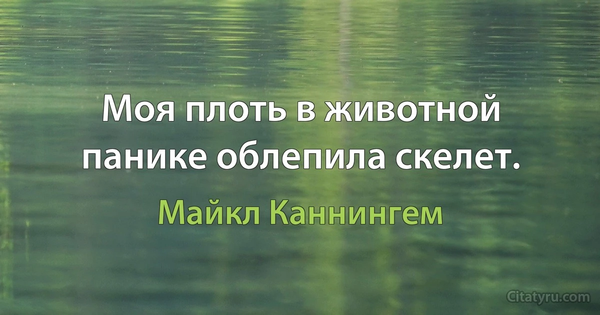 Моя плоть в животной панике облепила скелет. (Майкл Каннингем)