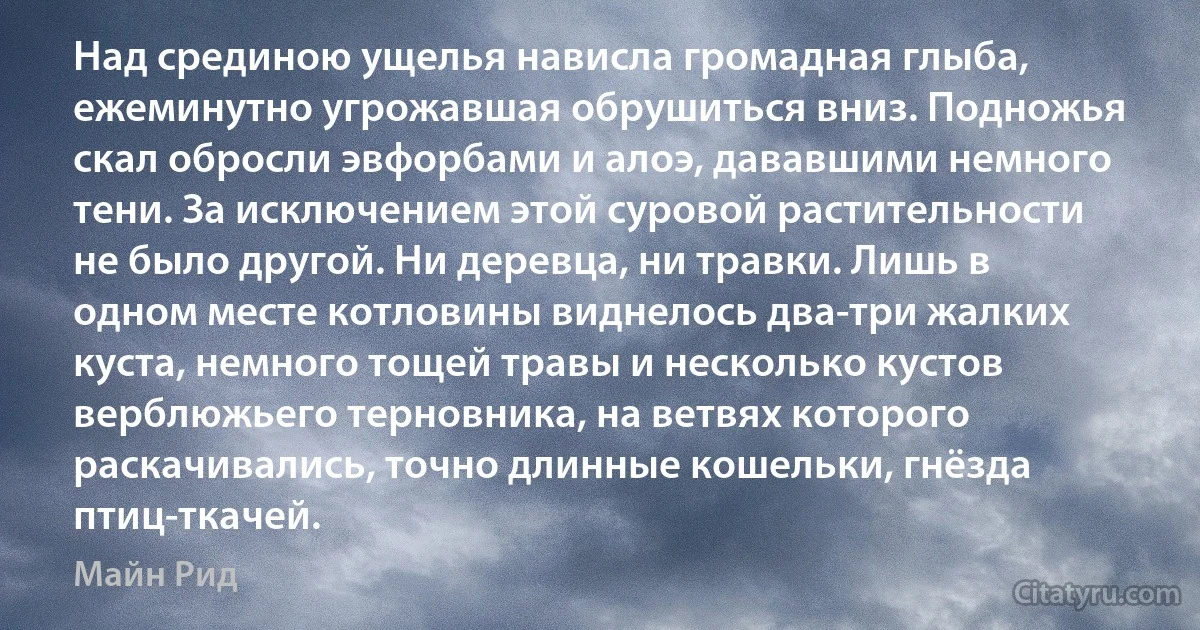 Над срединою ущелья нависла громадная глыба, ежеминутно угрожавшая обрушиться вниз. Подножья скал обросли эвфорбами и алоэ, дававшими немного тени. За исключением этой суровой растительности не было другой. Ни деревца, ни травки. Лишь в одном месте котловины виднелось два-три жалких куста, немного тощей травы и несколько кустов верблюжьего терновника, на ветвях которого раскачивались, точно длинные кошельки, гнёзда птиц-ткачей. (Майн Рид)