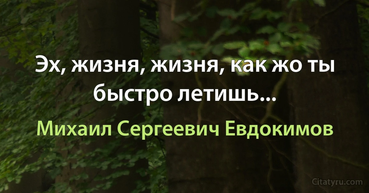 Эх, жизня, жизня, как жо ты быстро летишь... (Михаил Сергеевич Евдокимов)