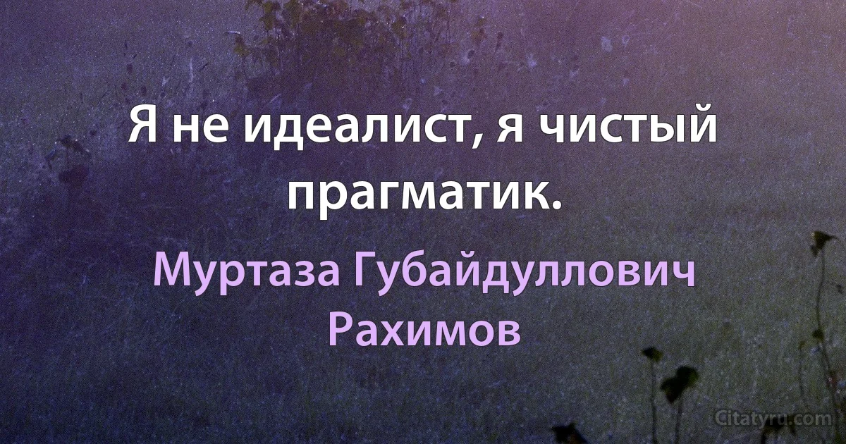 Я не идеалист, я чистый прагматик. (Муртаза Губайдуллович Рахимов)