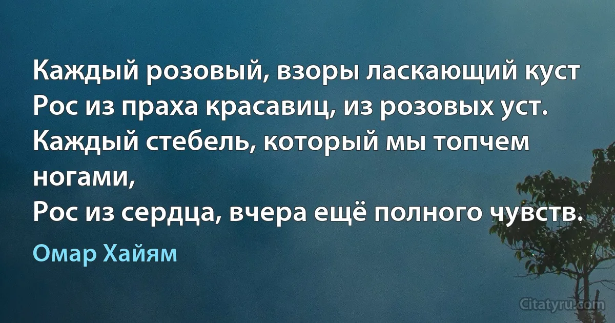 Каждый розовый, взоры ласкающий куст
Рос из праха красавиц, из розовых уст.
Каждый стебель, который мы топчем ногами,
Рос из сердца, вчера ещё полного чувств. (Омар Хайям)