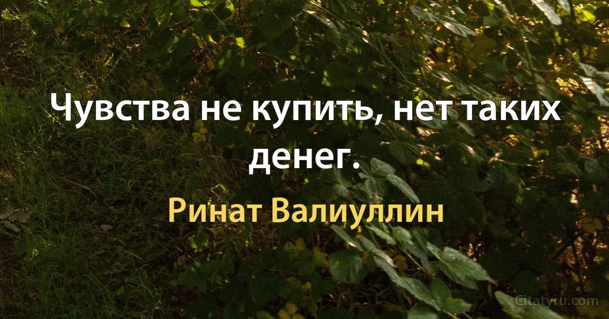 Чувства не купить, нет таких денег. (Ринат Валиуллин)