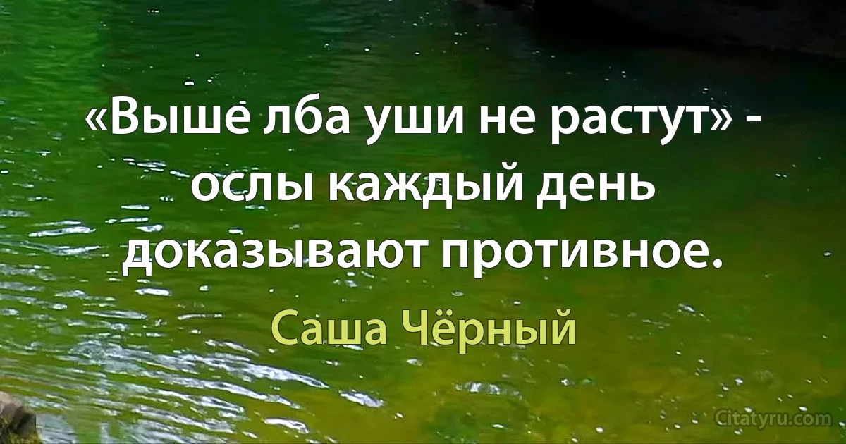 «Выше лба уши не растут» - ослы каждый день доказывают противное. (Саша Чёрный)