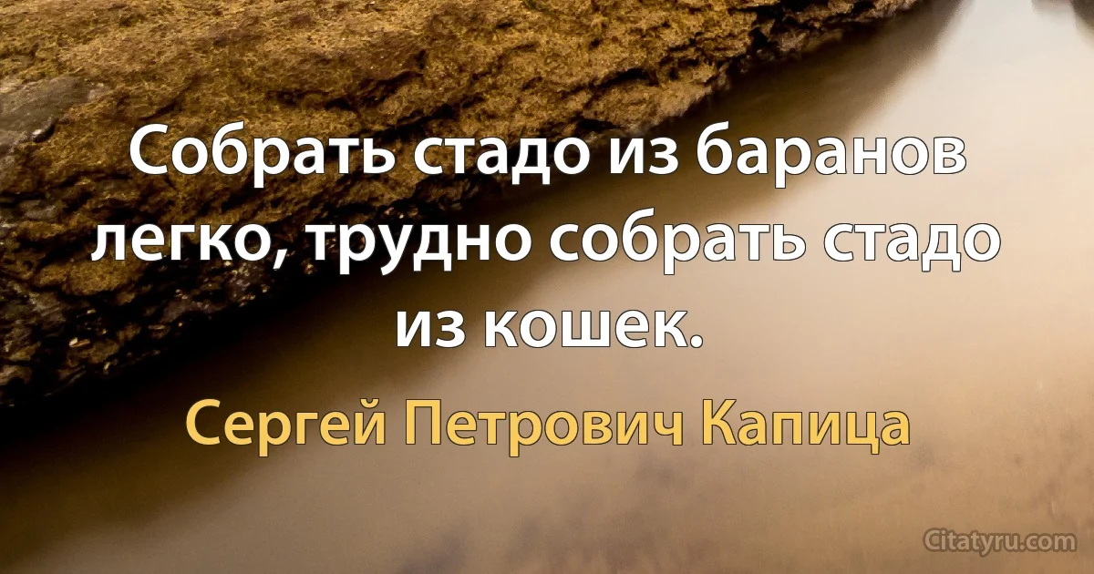 Собрать стадо из баранов легко, трудно собрать стадо из кошек. (Сергей Петрович Капица)