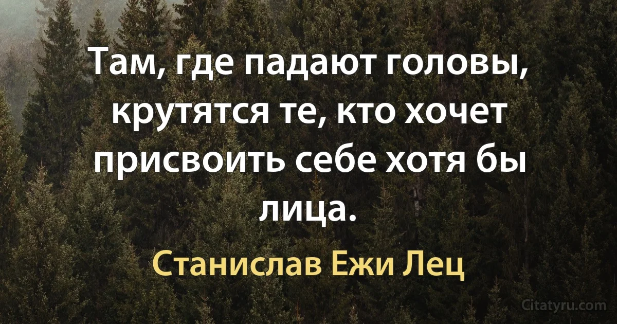 Там, где падают головы, крутятся те, кто хочет присвоить себе хотя бы лица. (Станислав Ежи Лец)