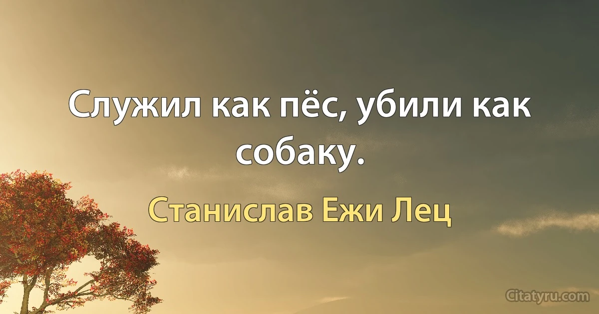 Служил как пёс, убили как собаку. (Станислав Ежи Лец)