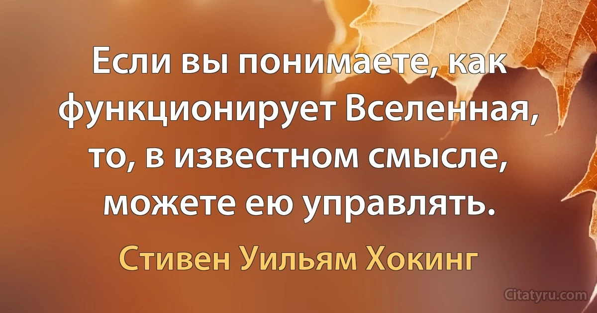 Если вы понимаете, как функционирует Вселенная, то, в известном смысле, можете ею управлять. (Стивен Уильям Хокинг)