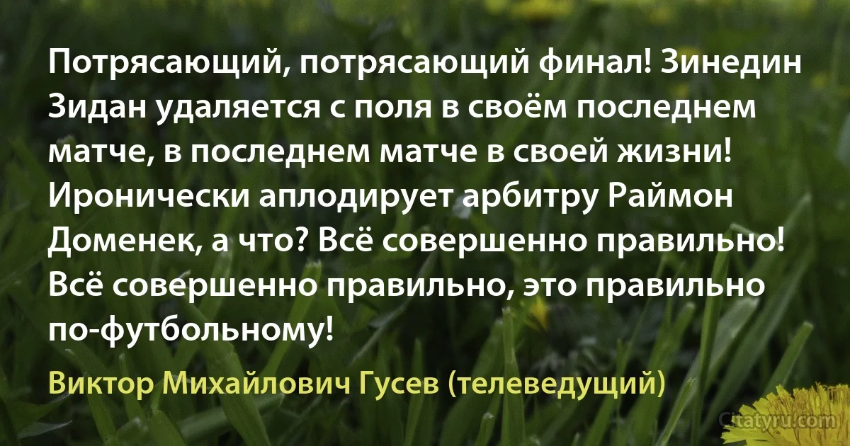 Потрясающий, потрясающий финал! Зинедин Зидан удаляется с поля в своём последнем матче, в последнем матче в своей жизни! Иронически аплодирует арбитру Раймон Доменек, а что? Всё совершенно правильно! Всё совершенно правильно, это правильно по-футбольному! (Виктор Михайлович Гусев (телеведущий))