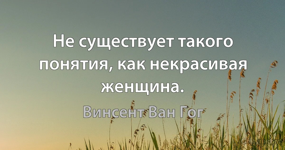 Не существует такого понятия, как некрасивая женщина. (Винсент Ван Гог)