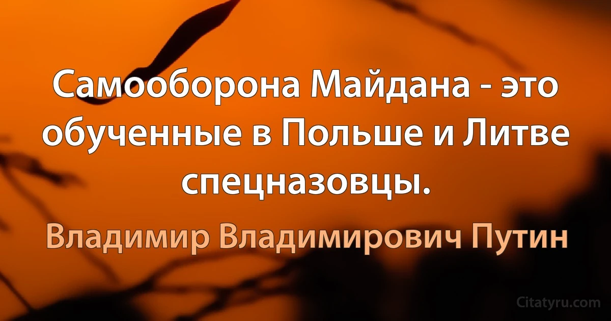 Самооборона Майдана - это обученные в Польше и Литве спецназовцы. (Владимир Владимирович Путин)