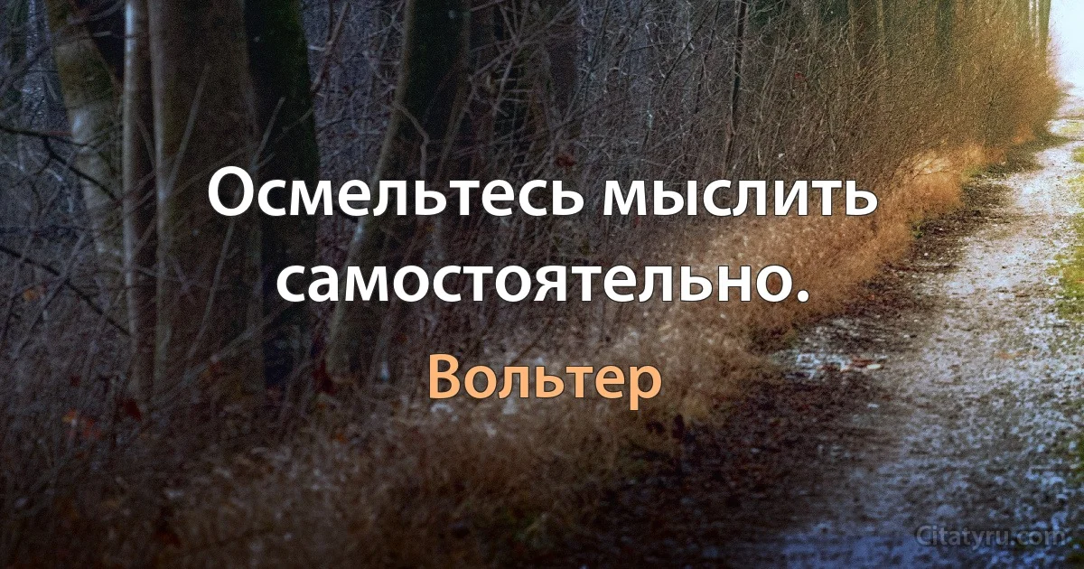 Осмельтесь мыслить самостоятельно. (Вольтер)