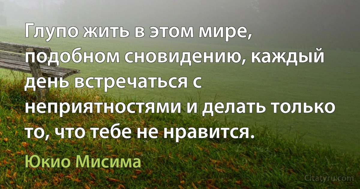 Глупо жить в этом мире, подобном сновидению, каждый день встречаться с неприятностями и делать только то, что тебе не нравится. (Юкио Мисима)