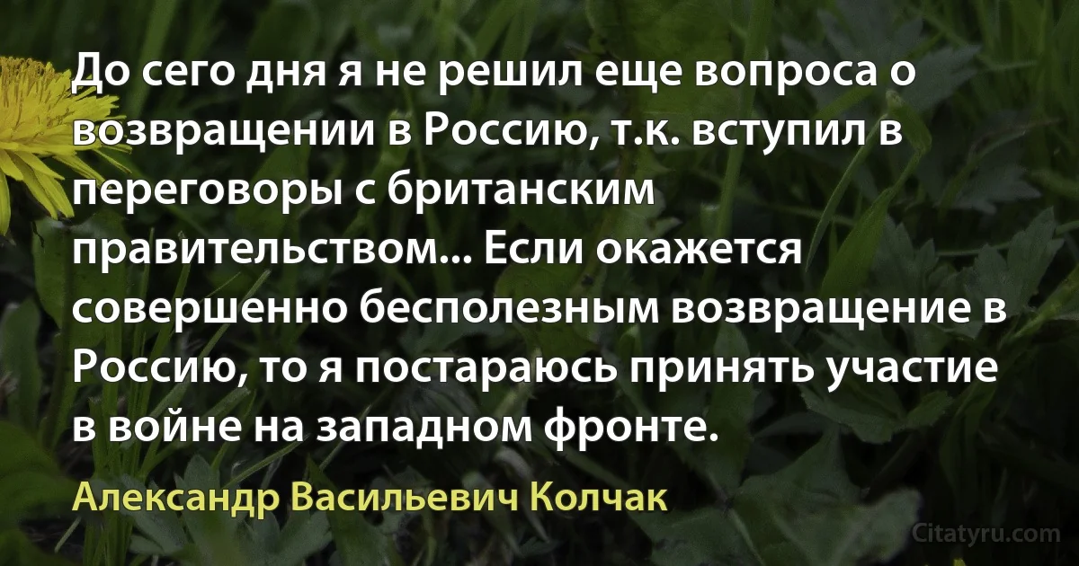 До сего дня я не решил еще вопроса о возвращении в Россию, т.к. вступил в переговоры с британским правительством... Если окажется совершенно бесполезным возвращение в Россию, то я постараюсь принять участие в войне на западном фронте. (Александр Васильевич Колчак)