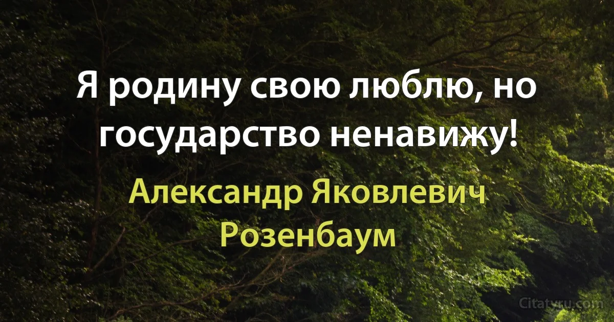 Я родину свою люблю, но государство ненавижу! (Александр Яковлевич Розенбаум)