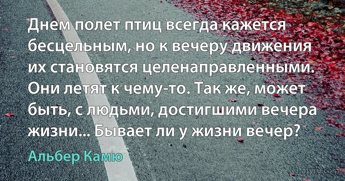 Днем полет птиц всегда кажется бесцельным, но к вечеру движения их становятся целенаправленными. Они летят к чему-то. Так же, может быть, с людьми, достигшими вечера жизни... Бывает ли у жизни вечер? (Альбер Камю)