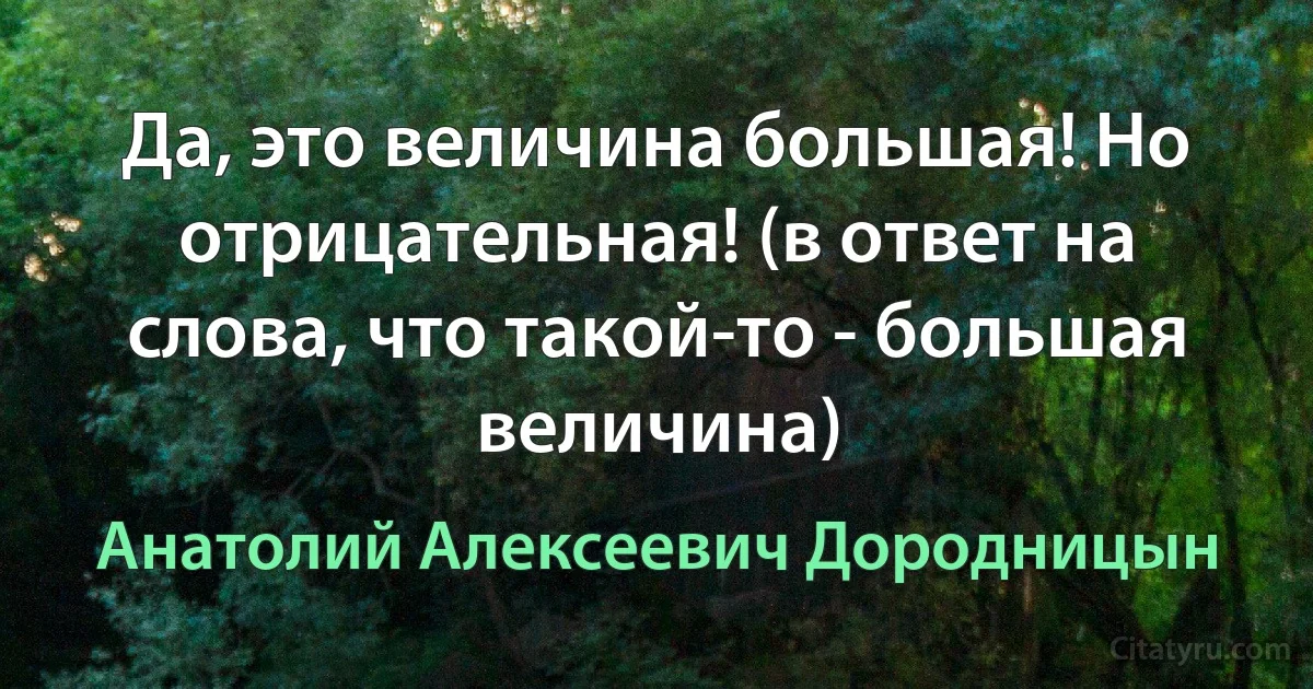 Да, это величина большая! Но отрицательная! (в ответ на слова, что такой-то - большая величина) (Анатолий Алексеевич Дородницын)