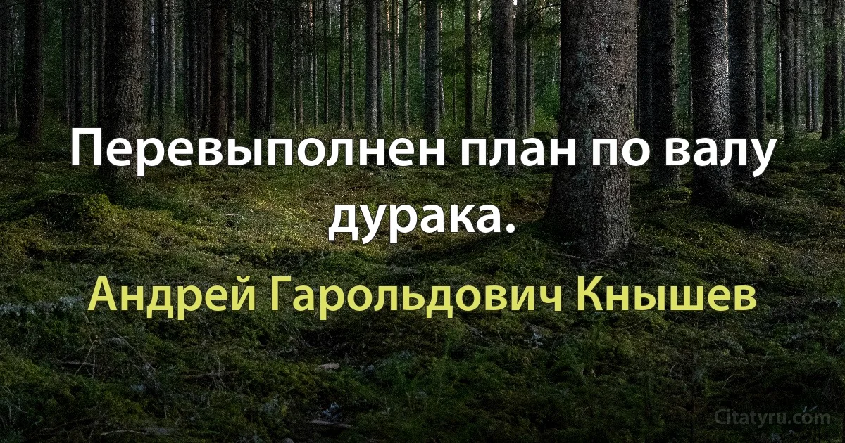 Перевыполнен план по валу дурака. (Андрей Гарольдович Кнышев)