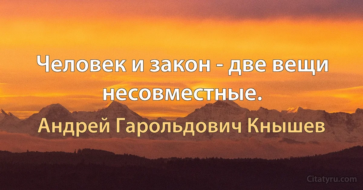 Человек и закон - две вещи несовместные. (Андрей Гарольдович Кнышев)