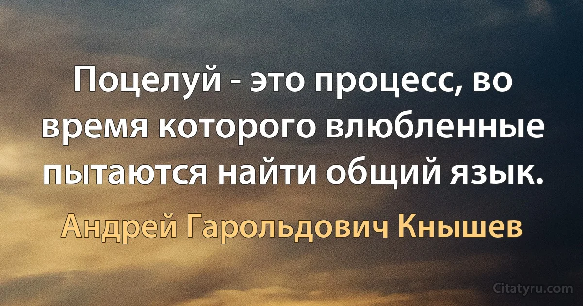 Поцелуй - это процесс, во время которого влюбленные пытаются найти общий язык. (Андрей Гарольдович Кнышев)