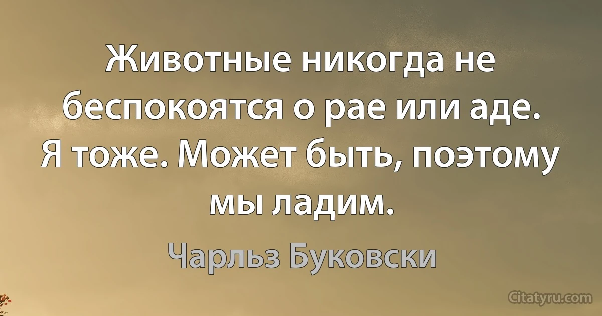 Животные никогда не беспокоятся о рае или аде. Я тоже. Может быть, поэтому мы ладим. (Чарльз Буковски)