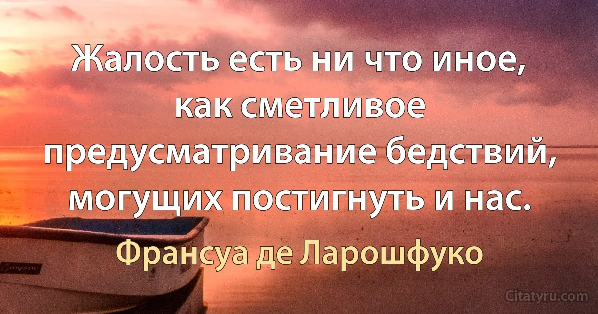 Жалость есть ни что иное, как сметливое предусматривание бедствий, могущих постигнуть и нас. (Франсуа де Ларошфуко)