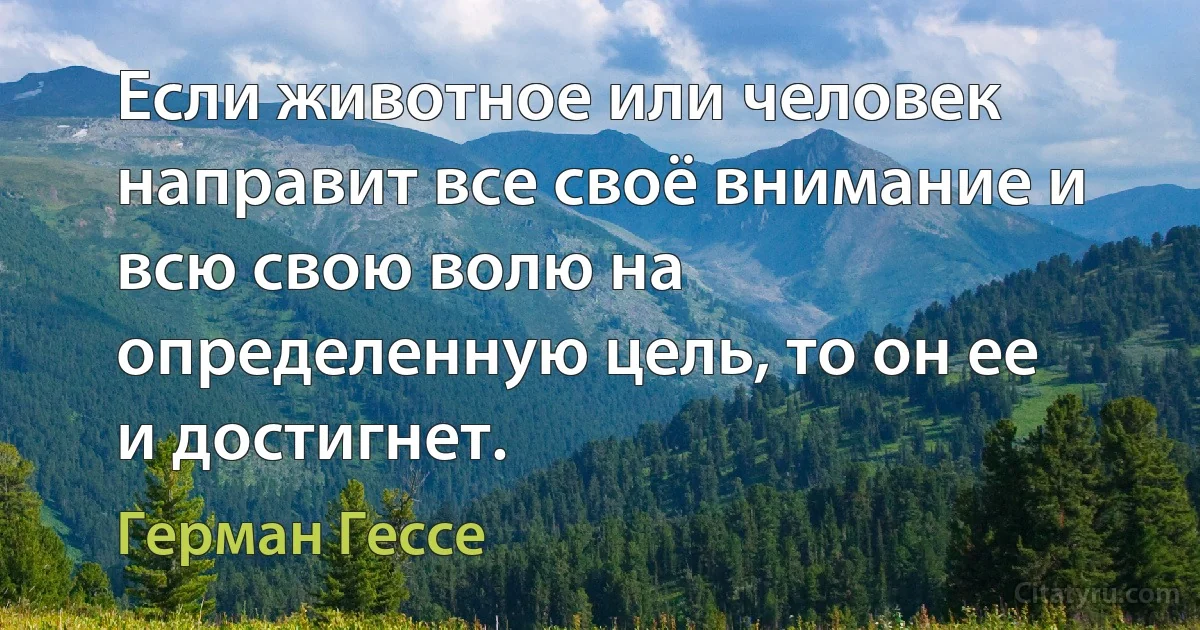 Если животное или человек направит все своё внимание и всю свою волю на определенную цель, то он ее и достигнет. (Герман Гессе)