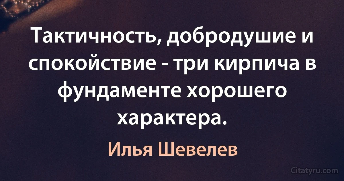 Тактичность, добродушие и спокойствие - три кирпича в фундаменте хорошего характера. (Илья Шевелев)