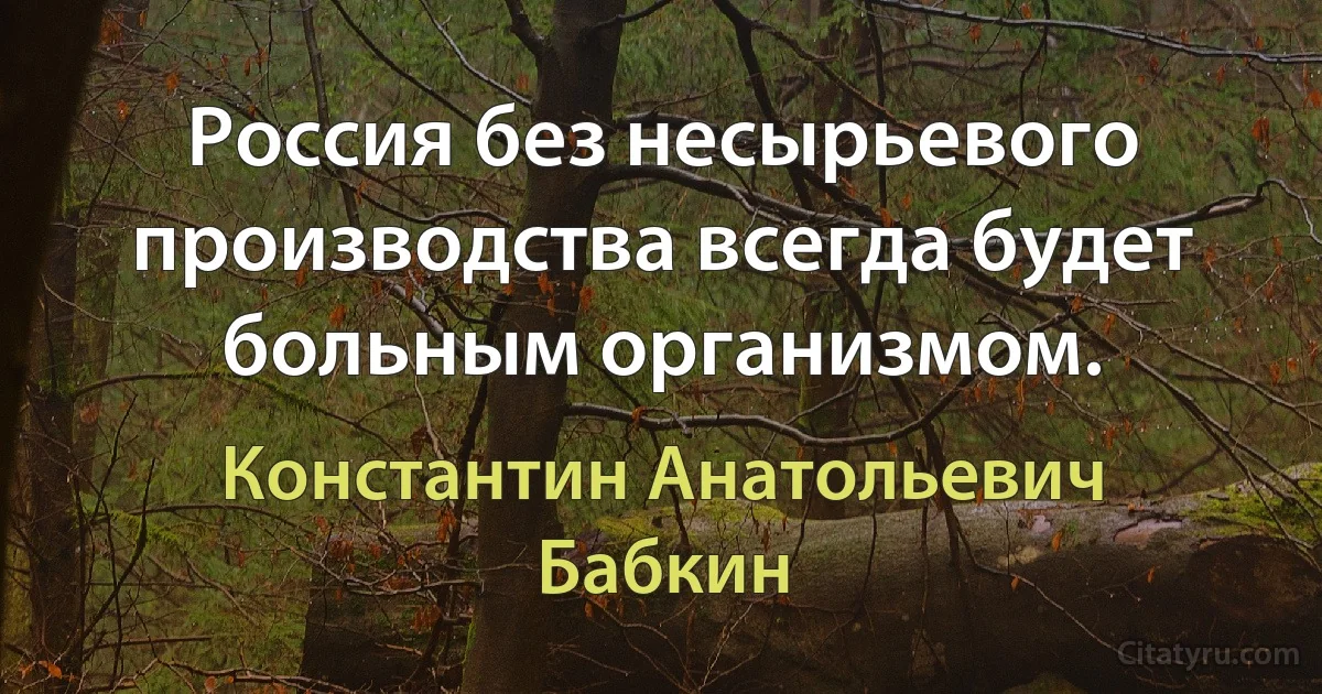 Россия без несырьевого производства всегда будет больным организмом. (Константин Анатольевич Бабкин)