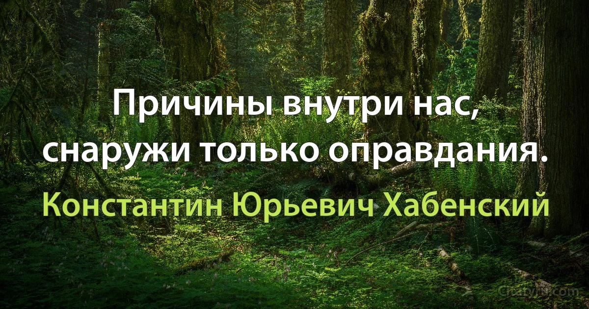 Причины внутри нас, снаружи только оправдания. (Константин Юрьевич Хабенский)