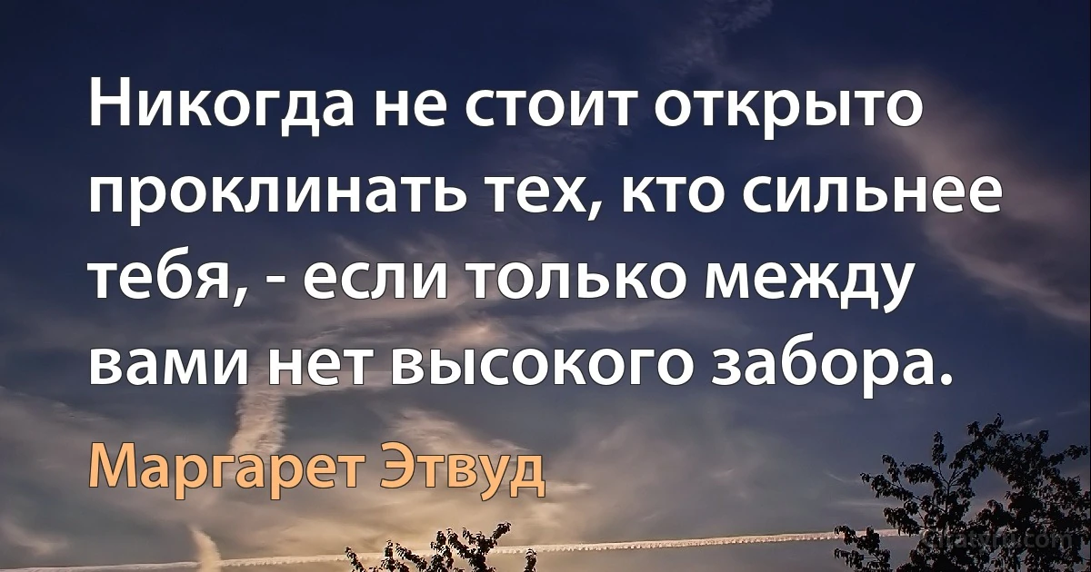 Никогда не стоит открыто проклинать тех, кто сильнее тебя, - если только между вами нет высокого забора. (Маргарет Этвуд)