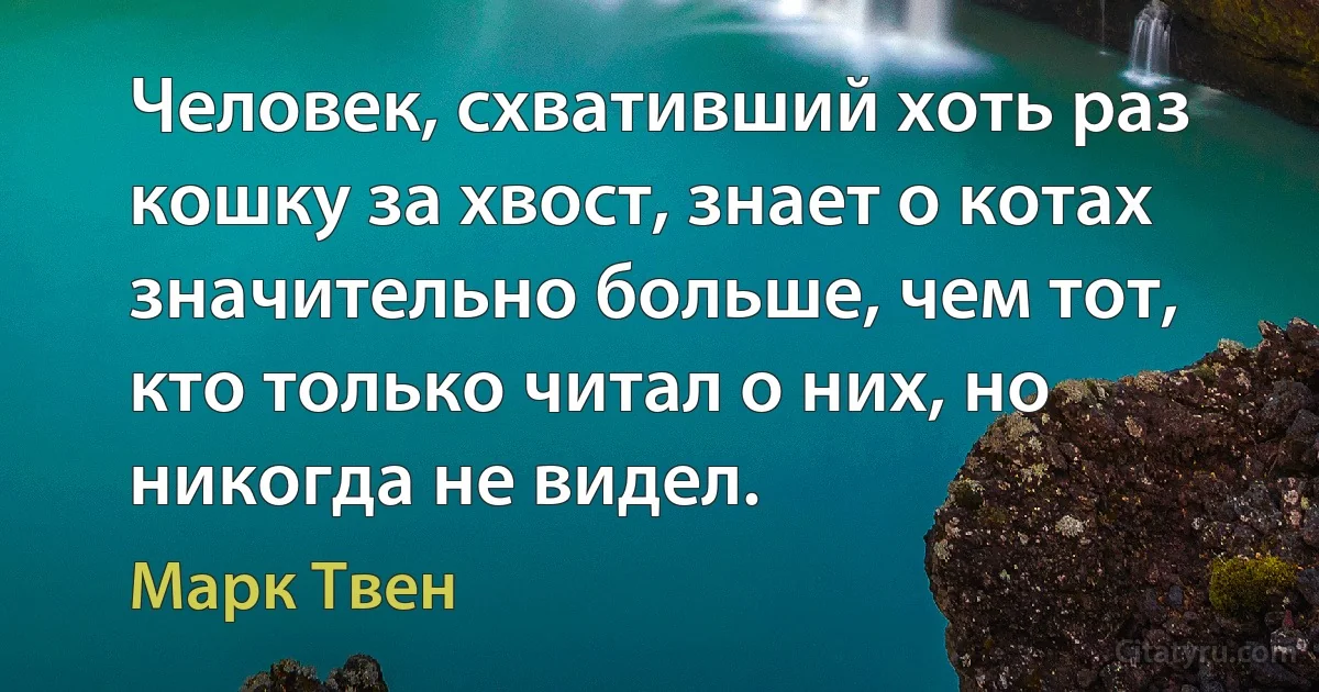 Человек, схвативший хоть раз кошку за хвост, знает о котах значительно больше, чем тот, кто только читал о них, но никогда не видел. (Марк Твен)