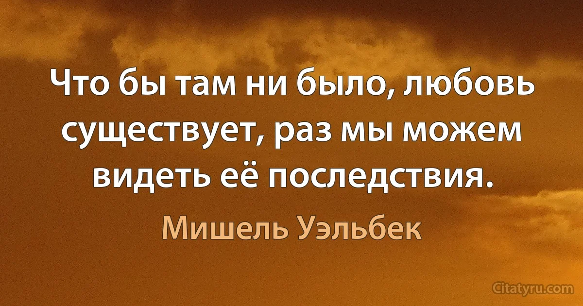 Что бы там ни было, любовь существует, раз мы можем видеть её последствия. (Мишель Уэльбек)