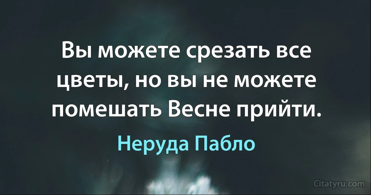 Вы можете срезать все цветы, но вы не можете помешать Весне прийти. (Неруда Пабло)