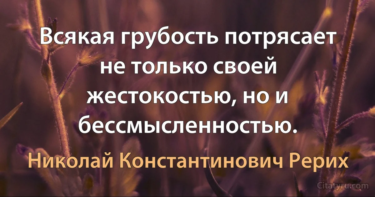 Всякая грубость потрясает не только своей жестокостью, но и бессмысленностью. (Николай Константинович Рерих)