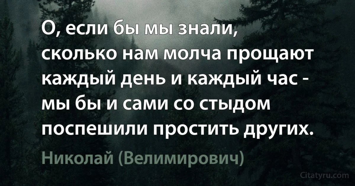 О, если бы мы знали, сколько нам молча прощают каждый день и каждый час - мы бы и сами со стыдом поспешили простить других. (Николай (Велимирович))