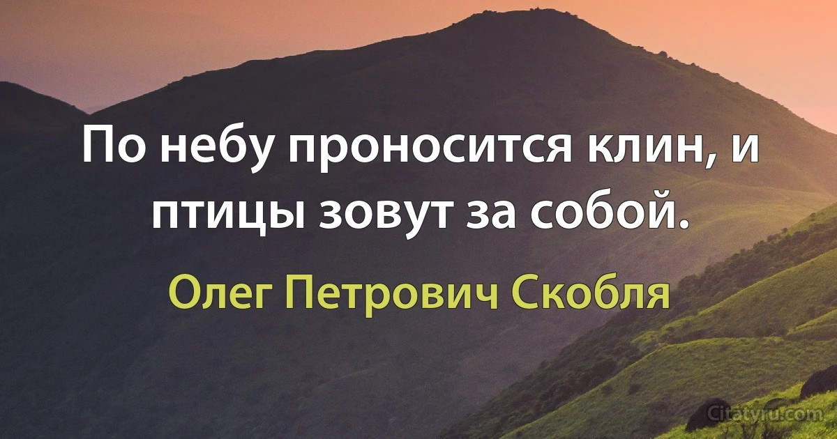 По небу проносится клин, и птицы зовут за собой. (Олег Петрович Скобля)