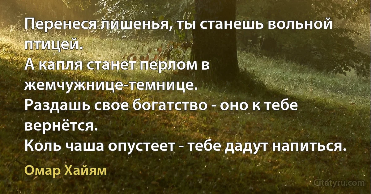 Перенеся лишенья, ты станешь вольной птицей.
А капля станет перлом в жемчужнице-темнице.
Раздашь свое богатство - оно к тебе вернётся.
Коль чаша опустеет - тебе дадут напиться. (Омар Хайям)