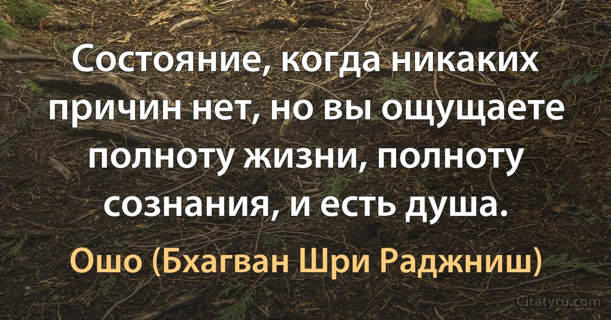 Состояние, когда никаких причин нет, но вы ощущаете полноту жизни, полноту сознания, и есть душа. (Ошо (Бхагван Шри Раджниш))