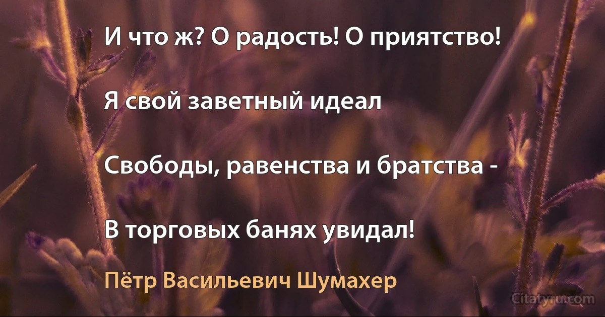 И что ж? О радость! О приятство!

Я свой заветный идеал

Свободы, равенства и братства -

В торговых банях увидал! (Пётр Васильевич Шумахер)