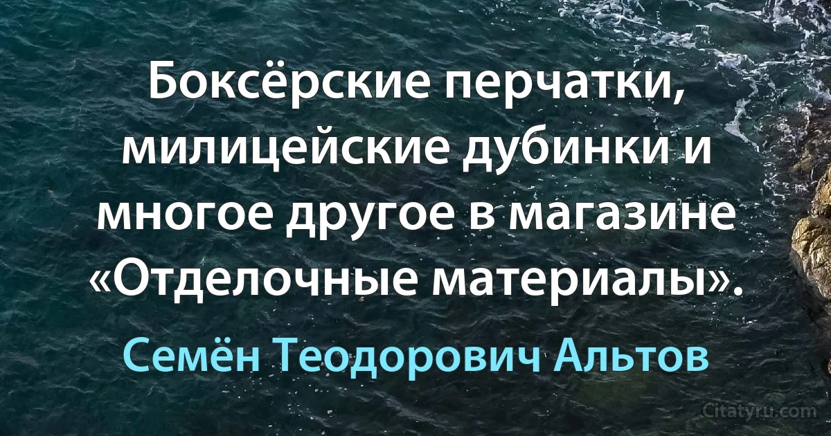 Боксёрские перчатки, милицейские дубинки и многое другое в магазине «Отделочные материалы». (Семён Теодорович Альтов)