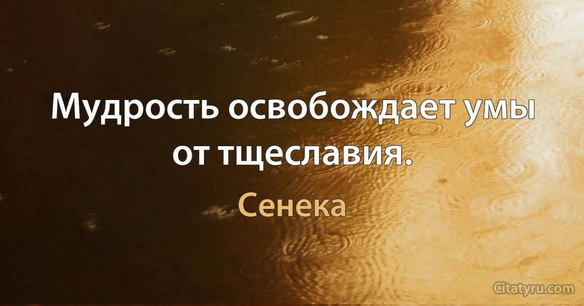 Мудрость освобождает умы от тщеславия. (Сенека)