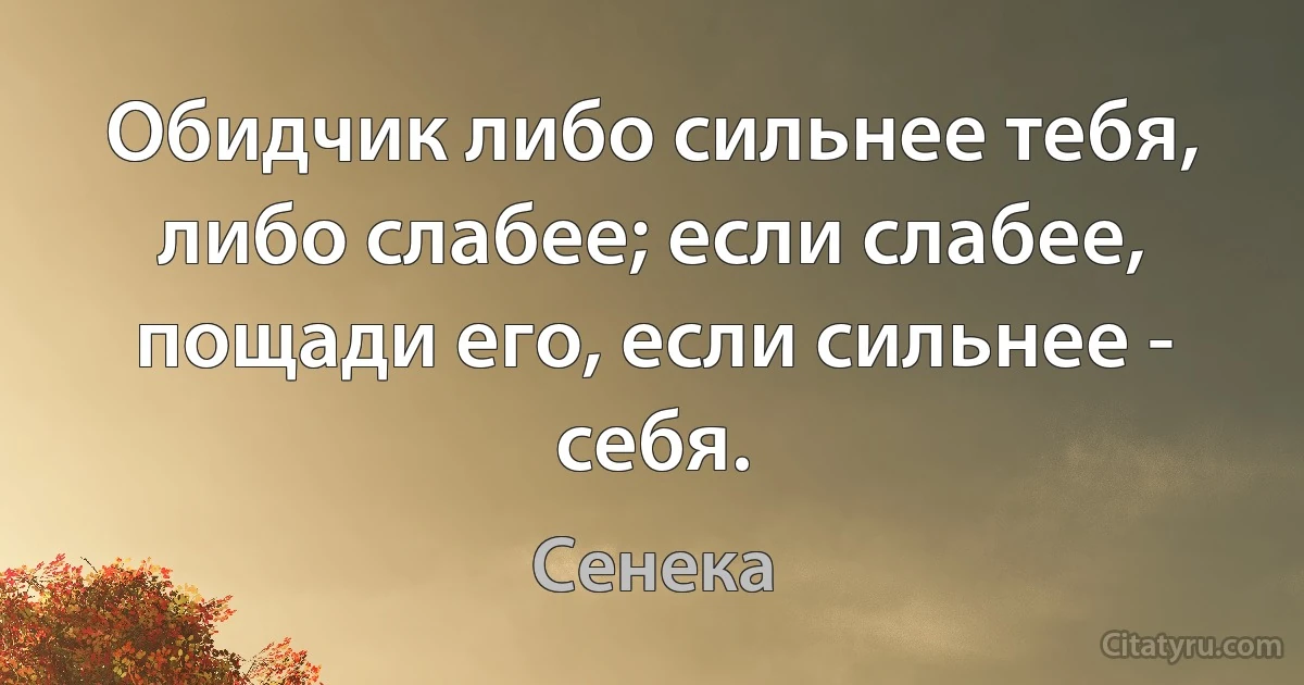 Обидчик либо сильнее тебя, либо слабее; если слабее, пощади его, если сильнее - себя. (Сенека)