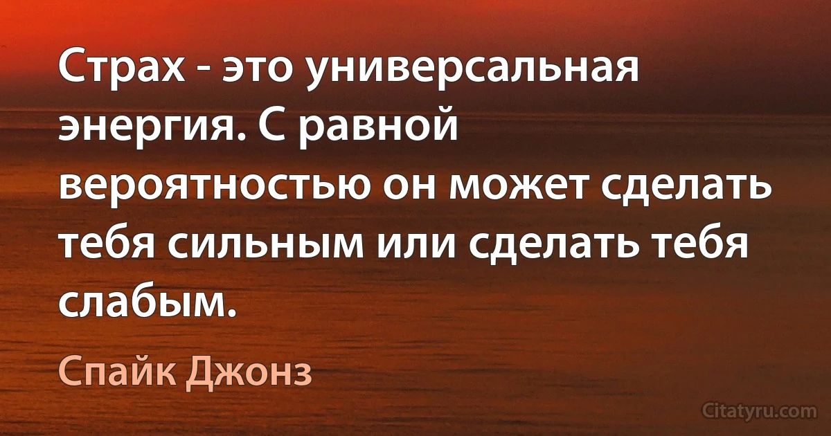 Страх - это универсальная энергия. С равной вероятностью он может сделать тебя сильным или сделать тебя слабым. (Спайк Джонз)