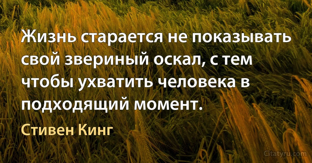 Жизнь старается не показывать свой звериный оскал, с тем чтобы ухватить человека в подходящий момент. (Стивен Кинг)