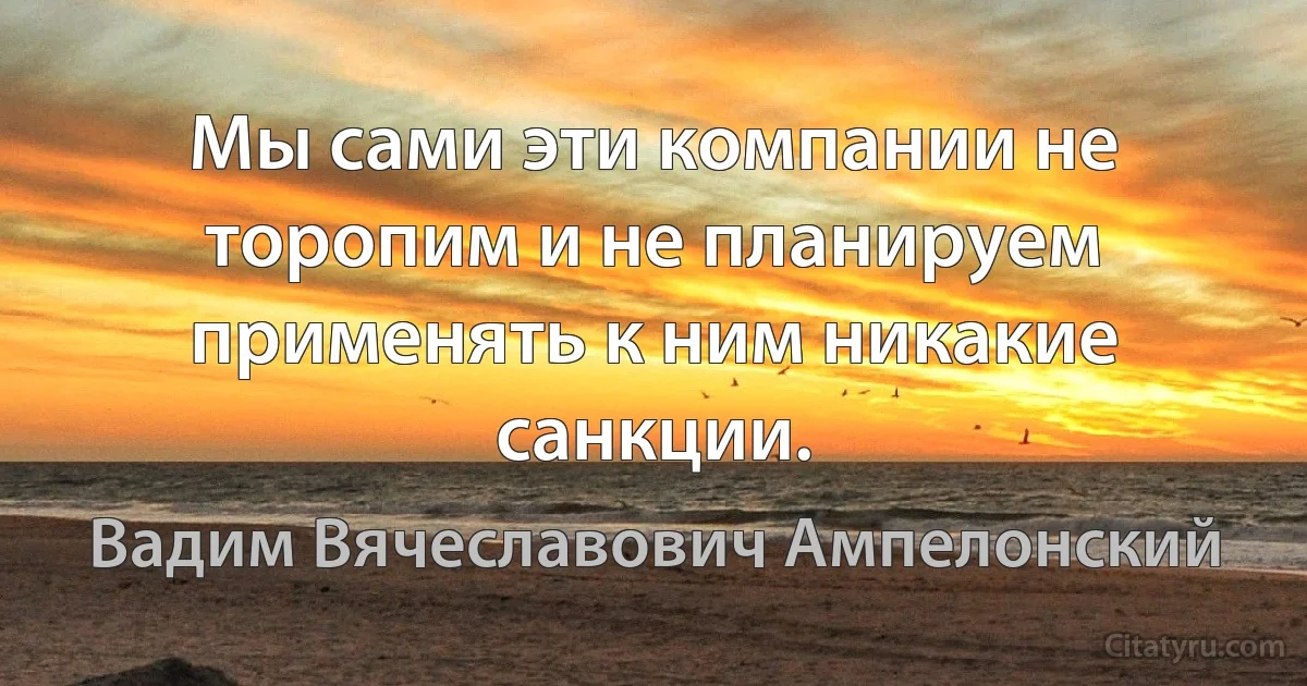 Мы сами эти компании не торопим и не планируем применять к ним никакие санкции. (Вадим Вячеславович Ампелонский)