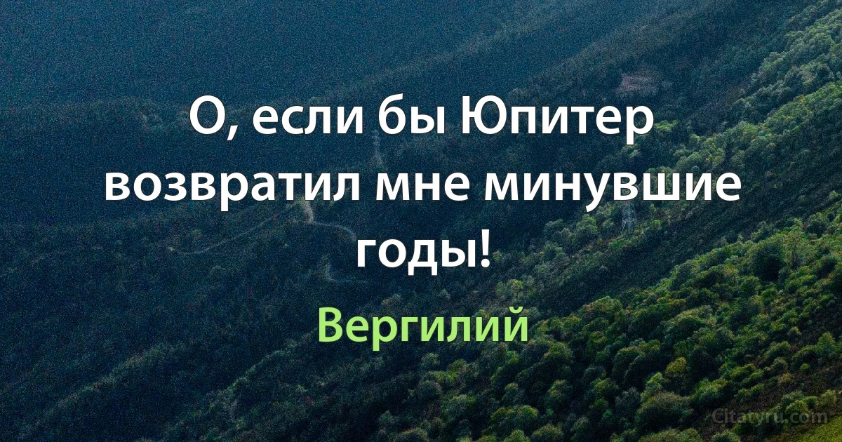 О, если бы Юпитер возвратил мне минувшие годы! (Вергилий)