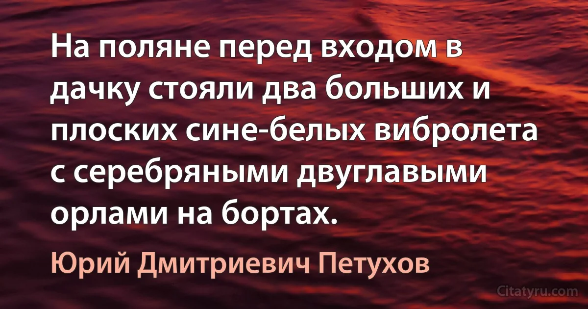 На поляне перед входом в дачку стояли два больших и плоских сине-белых вибролета с серебряными двуглавыми орлами на бортах. (Юрий Дмитриевич Петухов)