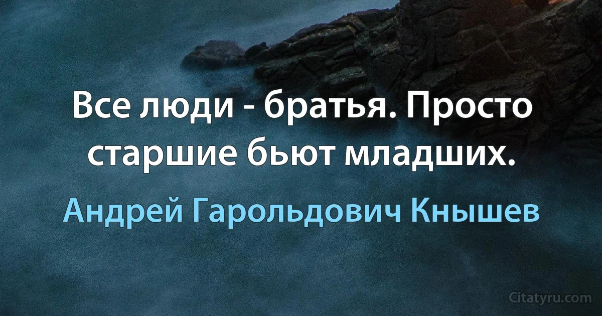 Все люди - братья. Просто старшие бьют младших. (Андрей Гарольдович Кнышев)